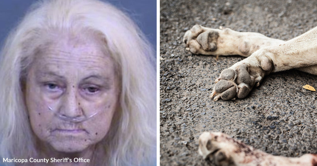 Split image of a woman’s mugshot and a close-up of a dog’s paws lying motionless on pavement.