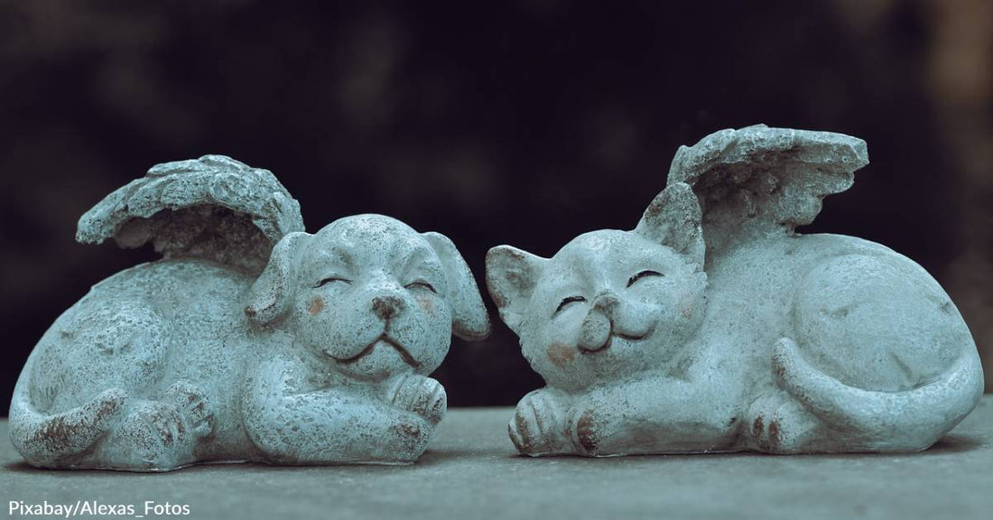 California Bill Would Allow People & Pets to Be Buried Together if Passed