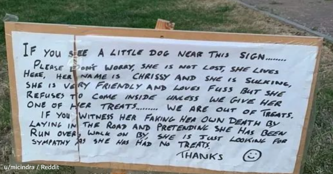 Handwritten Sign About Family's Dog Sparks Controversy Online