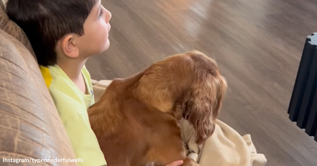 Young boy sitting on a couch with a brown dog resting beside him, both looking ahead.