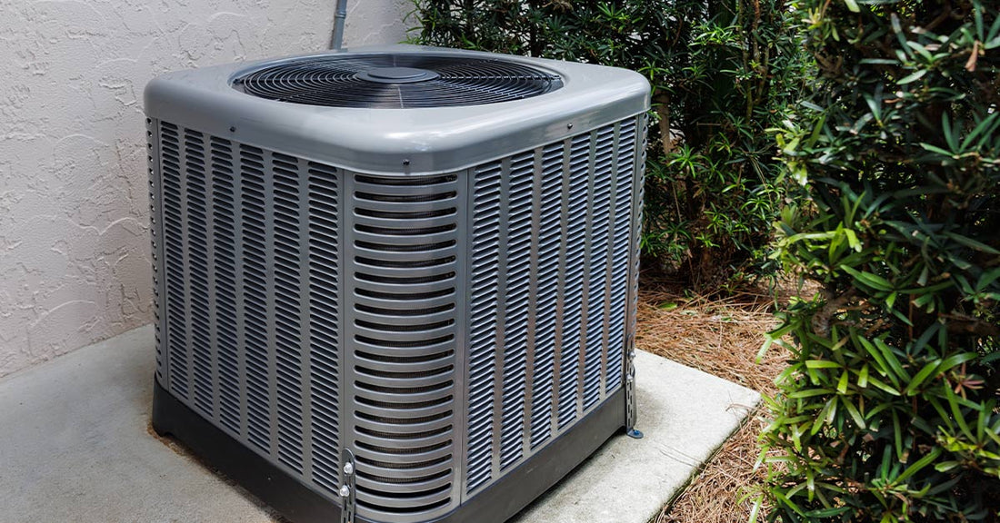 Video Call Over A/C Trouble Turns Into Heartwarming Kitten Rescue