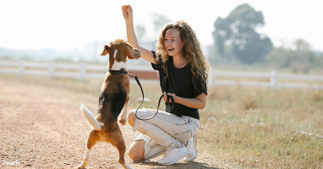 From Cruelty to Compassion — Animal Testing Lab Transforms into Sanctuary