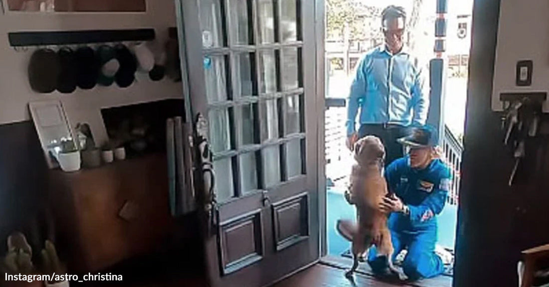 Person in a blue uniform kneeling at the front door as an excited dog jumps up to greet them, with another person standing outside.
