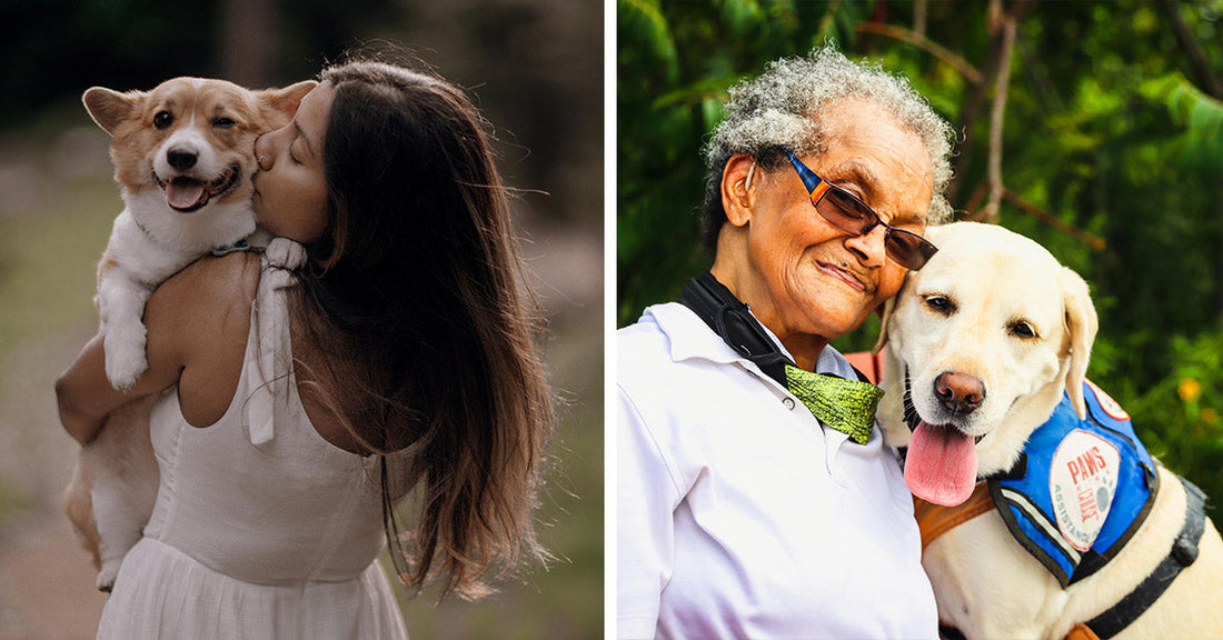 How Loving a Dog Can Awaken Your Soul and Save Your Health