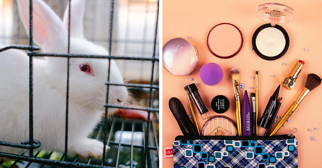 Brazil Slams the Door on Cosmetics Cruelty—Will It Spark a Beauty Revolution?