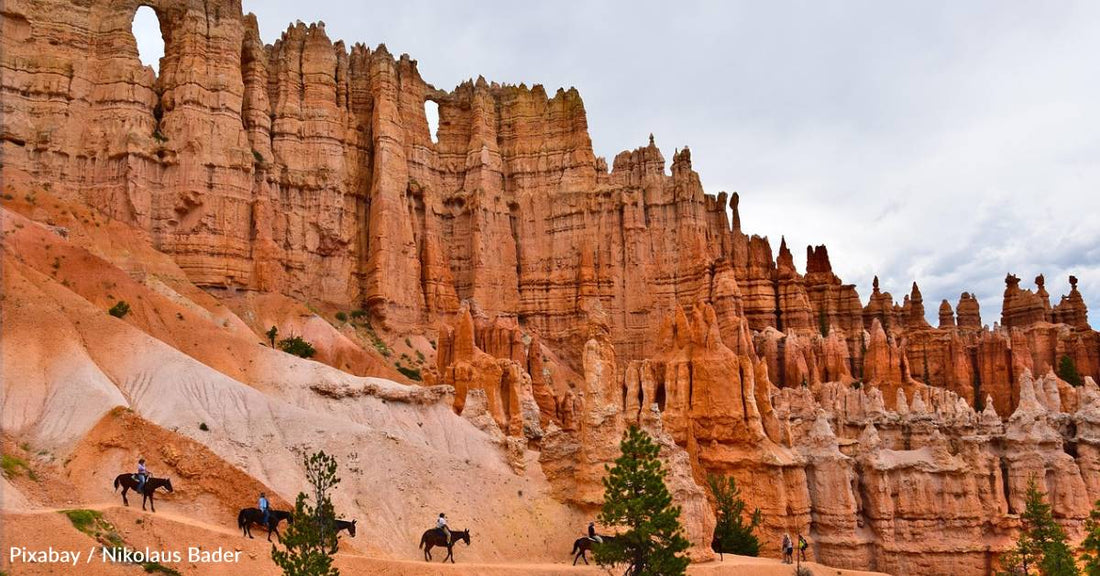 Cat Survives 380-Foot Fall That Killed Two Hikers in Utah