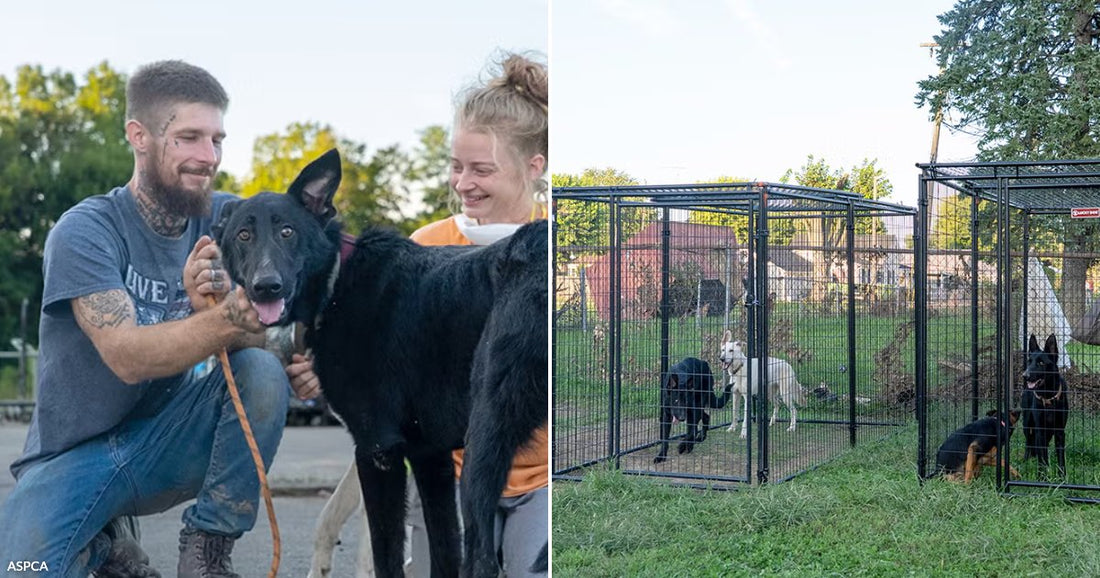 On the left, a tattooed man and a young woman smile while petting a black dog outdoors; on the right, several dogs rest in large outdoor kennel enclosures.