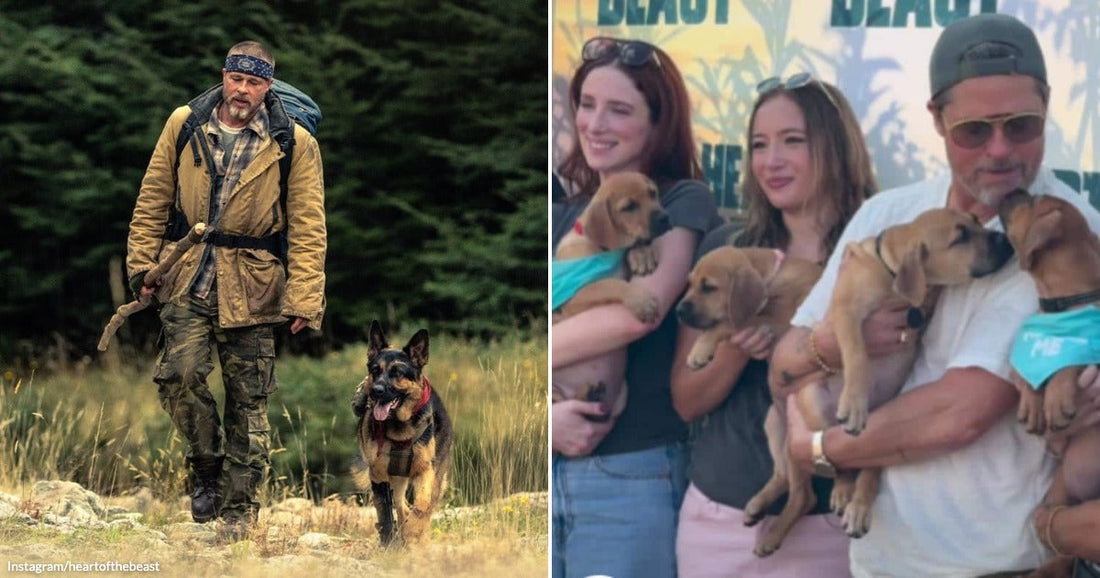 Brad Pitt Says Life Is Better With Dogs as He Celebrates His Canine Co-Star at Movie Premiere