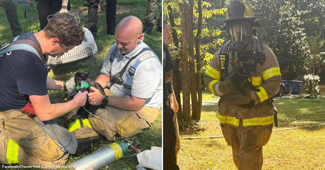 On the left, two firefighters kneel on grass administering oxygen to a black cat; on the right, a fully-geared firefighter in turnout gear carries a black cat across a yard.