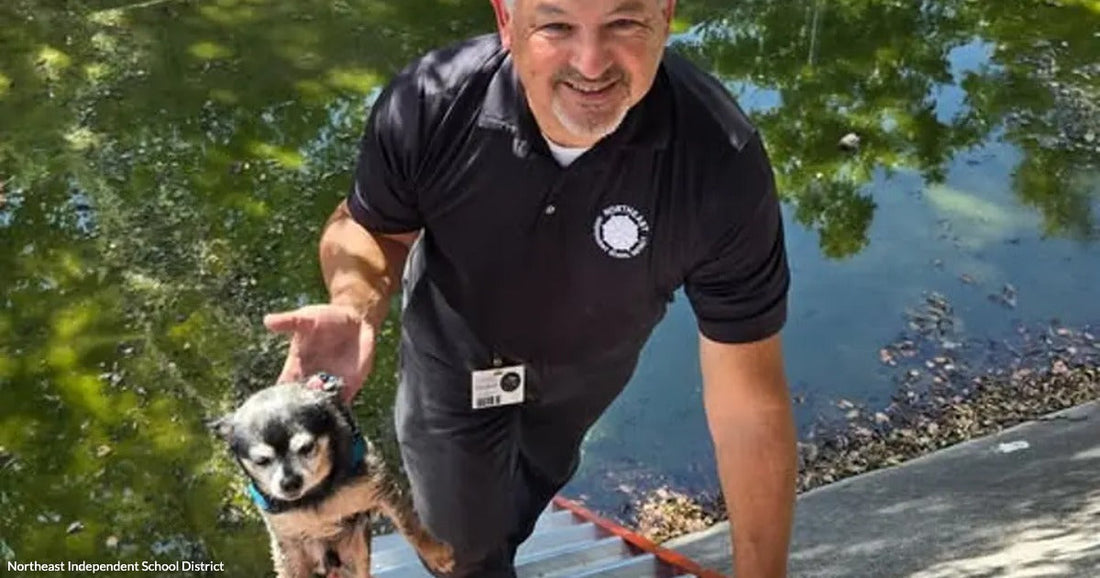A smiling middle-aged man climbs a ladder from a creek, holding a small wet dog, with green water visible behind him.