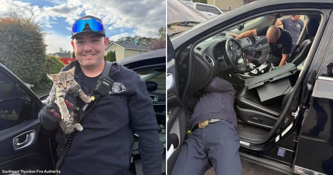 On the left, a smiling firefighter in uniform holds a tiny kitten outdoors near a car; on the right, firefighters disassemble a car's dashboard interior to rescue something trapped inside.