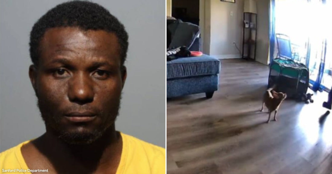 On the left, a man in a yellow shirt poses for a photo; on the right, a dog stands in a living room with a sofa.