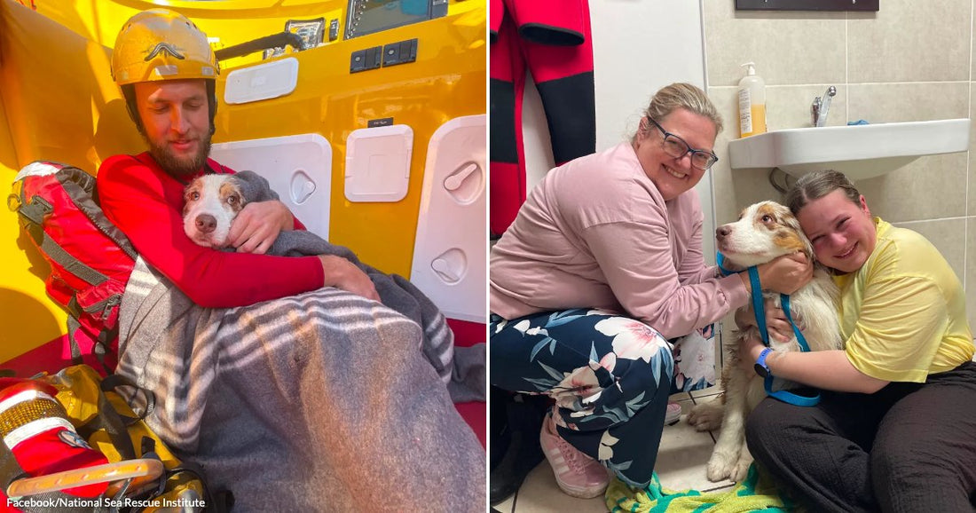 On the left, a bearded man in a yellow helmet and red suit holds a blanket-wrapped dog inside a yellow rescue vessel; on the right, two women smile while embracing.
