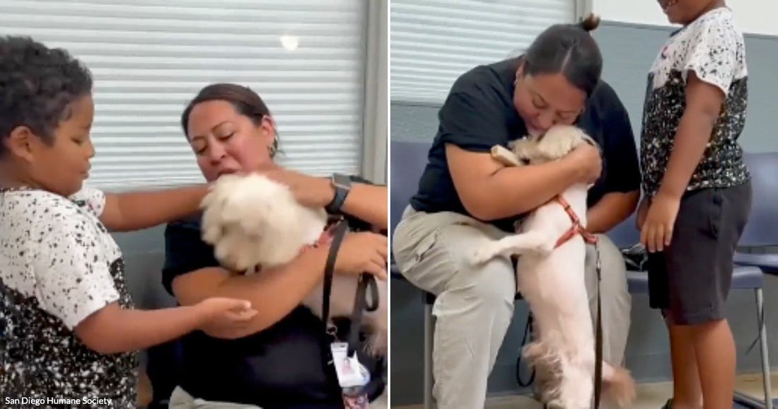 On the left, a woman and a child hold a small white puppy indoors; on the right, the woman hugs the puppy while the child stands beside her.