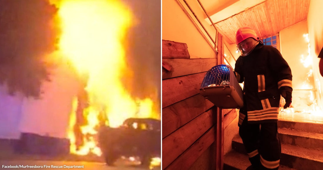 On the left, a house engulfs in tall flames at night beside a parked car; on the right, a firefighter in gear carries a pet carrier down smoky stairs.