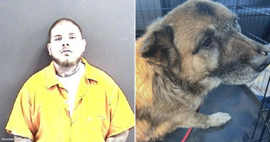 On the left, a tattooed man in an orange jumpsuit poses against a gray background; on the right, an aging German Shepherd rests inside a wire crate.