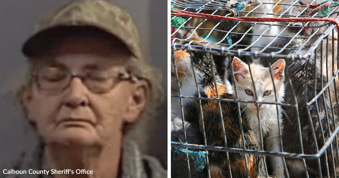 Deputies Uncover Dead And Starving Animals And Make An Aggravated Cruelty Arrest