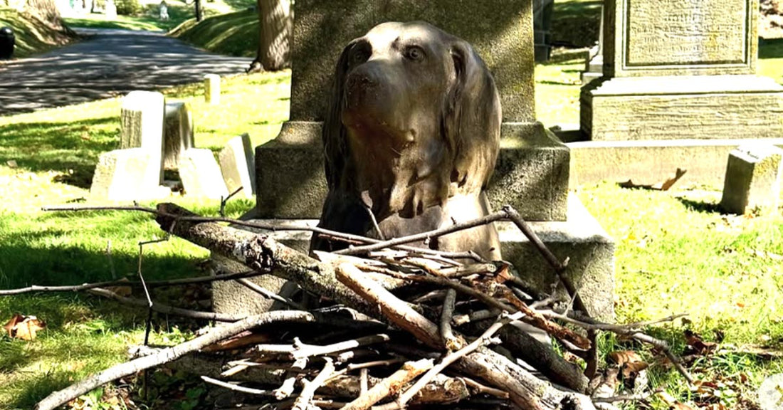A dog statue surrounded by sticks in a serene cemetery setting.