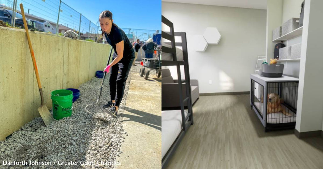 How You've Helped Keep Domestic Violence Survivors and Their Pets Together