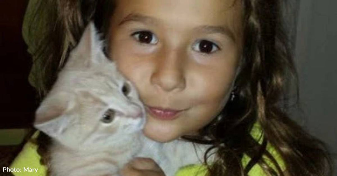 'Match Made in Heaven': Little Girl and Kitten Get to Grow Up Together