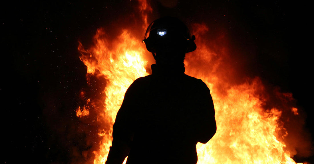 Forest Service Cuts Strip Fire Response Readiness as Wildfire Season Looms