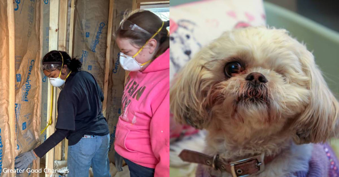 Domestic Violence Survivors' Pets Have a New Safe, Comfortable Space, Thanks to You