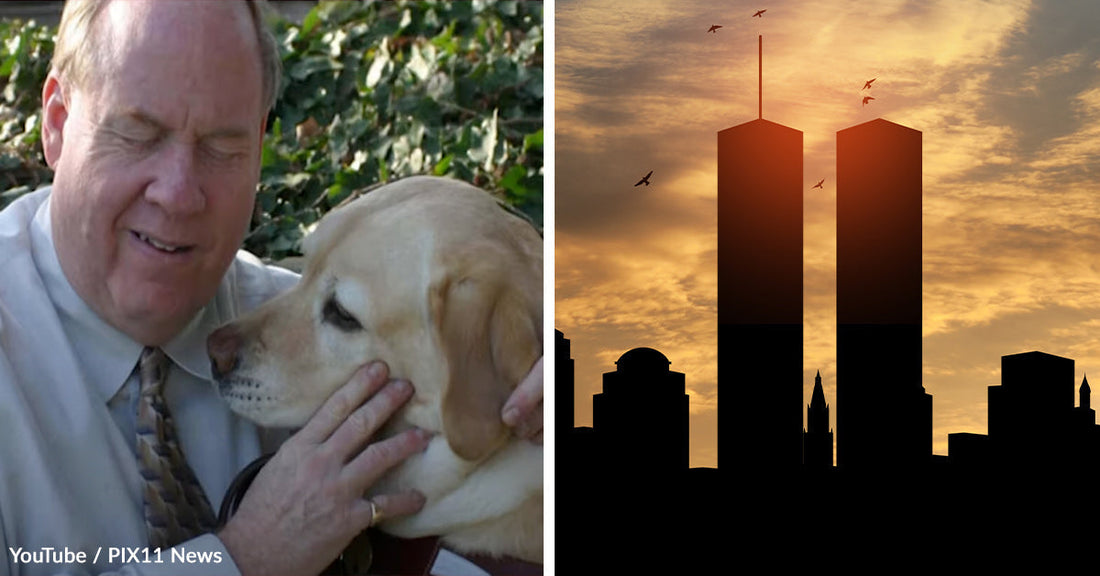 Blind 9/11 Survivor Recalls Harrowing Escape from the North Tower With Guide Dog