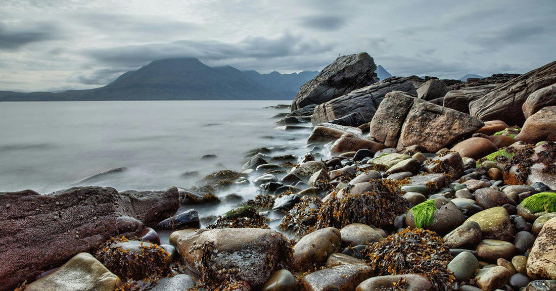 Rocky shoreline covered with seaweed and moss, with distant mountains under a cloudy sky.