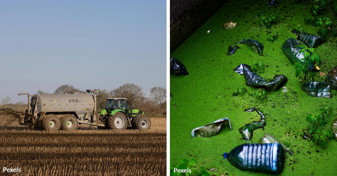 Forever Chemicals Are Invading American Farmland And Food Through Government-Backed Sewage