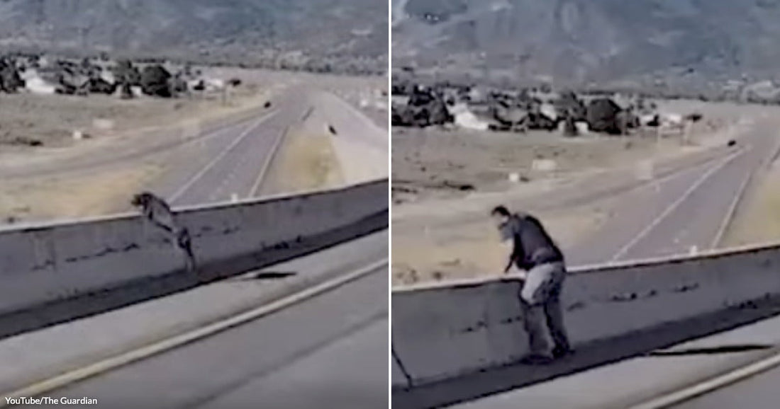 On the left, an empty highway curves through a dry, mountainous landscape; on the right, a person leans over a concrete highway barrier on the same road.