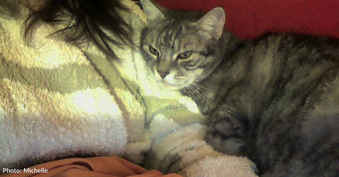 When Life Gave a Girl Lemons, Her Cat Helped Her Make Lemonade