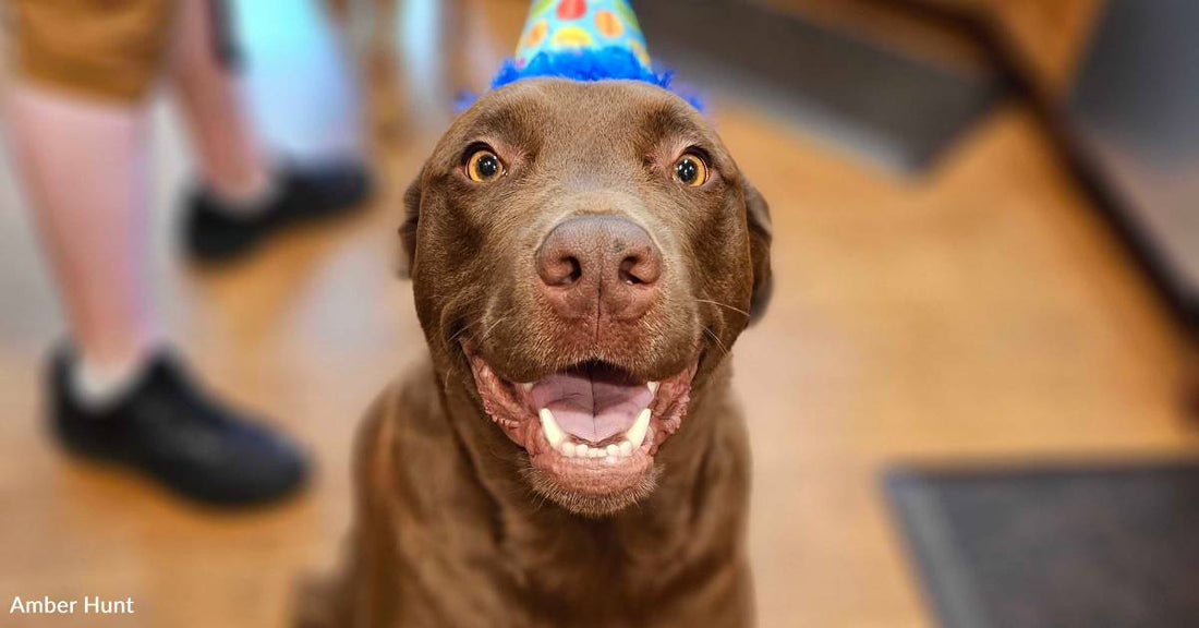 Westley 'The Dread Puppy Roberts' Has Inconceivable Transformation