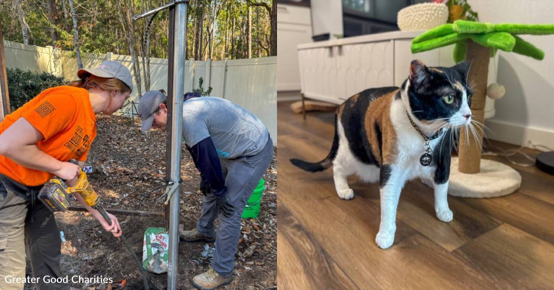 A Domestic Violence Shelter in Florida is More Pet-Friendly, Thanks to You