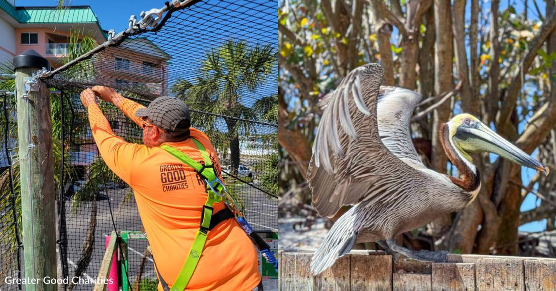 You Helped Repair a Sanctuary Still Reeling From Hurricanes Helene and Milton
