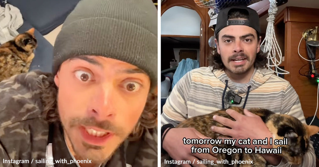 After Diagnosis, Corporate Manager Leaves Job, Crosses Pacific Alone With Rescue Cat