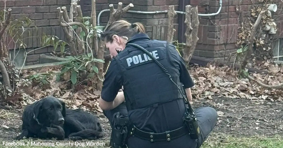 Police officer kneels beside a resting black dog in a yard.