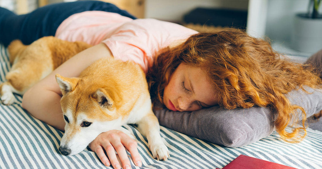 Letting Your Dog Sleep in Bed Could Be Hurting You Both