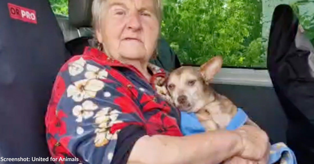Relentless Bombings Force Ukrainians to Flee Their Homes Clutching Their Pets