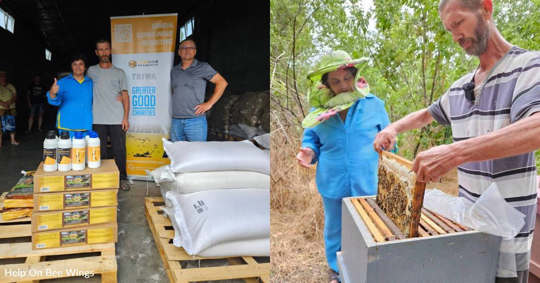 Ukrainian Beekeeping Family Lost Everything, Now They're Rebuilding