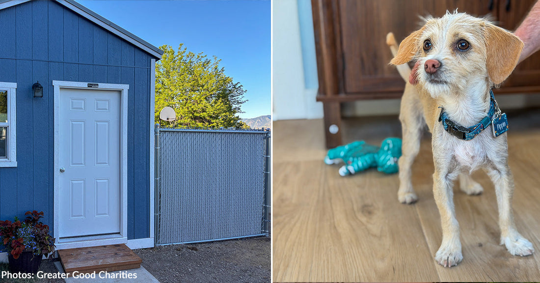 Domestic Violence Survivors and Their Beloved Pets Now Have Safe Place to Go in Utah