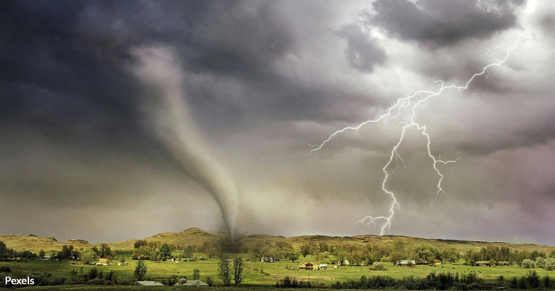 Climate-Fueled Storms Are Leaving Wildlife Broken and Displaced