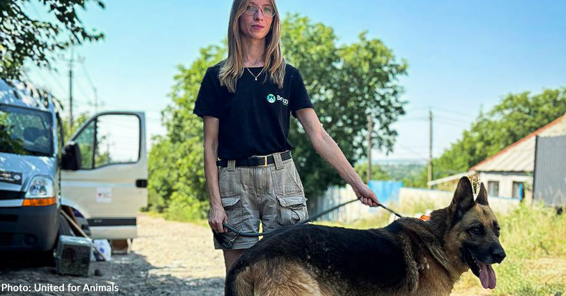 woman holding german shepherd dog on leash outside