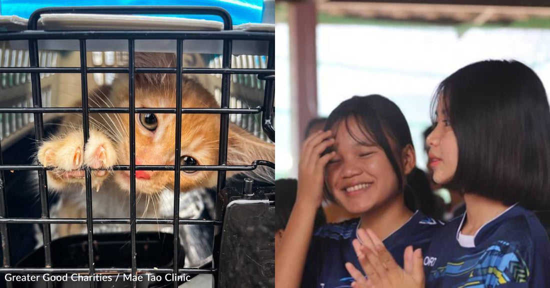 Together, We Provided Relief and Hope This Spring