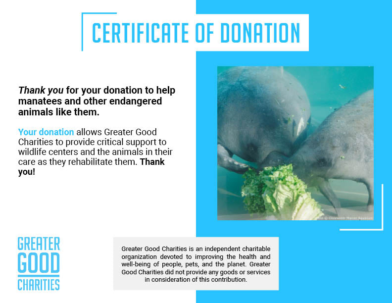 Help Save Endangered Manatees