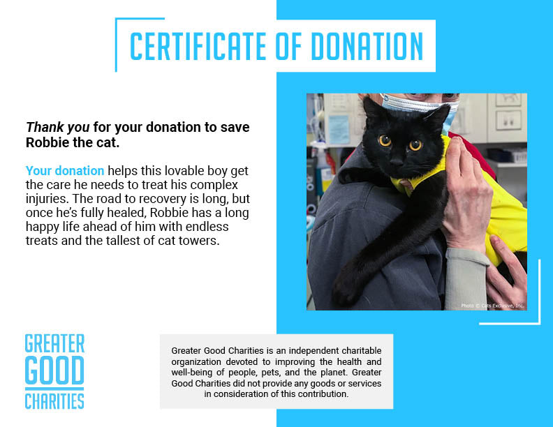 Funded: Abused Cat Covered in Painful Chemical Burns Needs Your Help