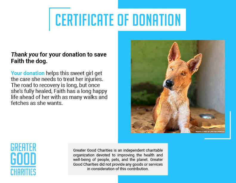 Support Faith’s Recovery After a Brutal Attack