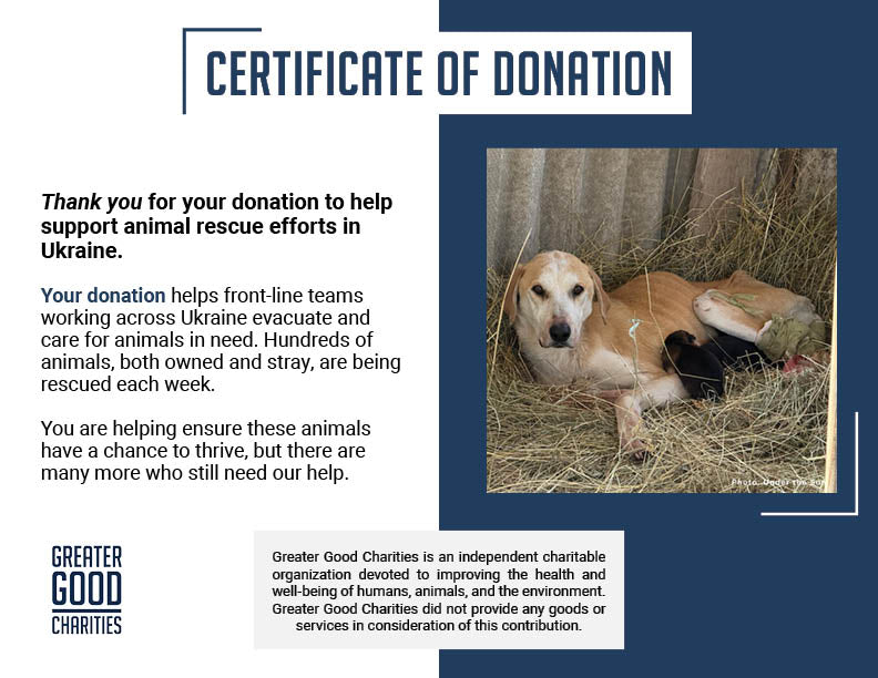 Shot Ukraine Mama Dog & Puppies Need Emergency Care