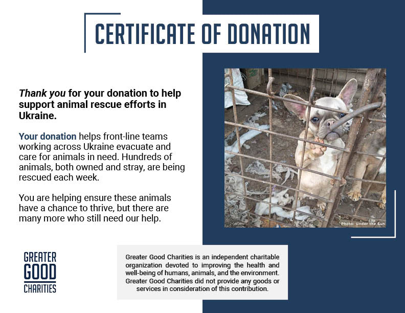 Funded: Provide Care for 54 Dogs Rescued from Horrifying Breeding Farm
