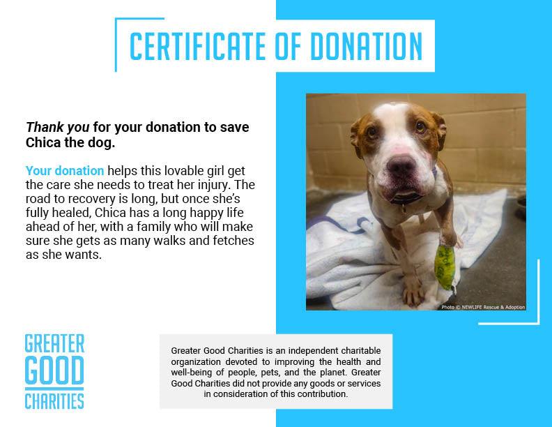 Funded: Badly Injured Chica Needs Surgery to Relieve Pain and Walk Again