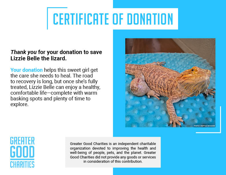 Funded: Lizzie the Lizard Needs Surgery to Remove Large Tumor